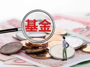 納閩島公司旗下的納閩基金管理持照可執(zhí)行的活動(dòng)