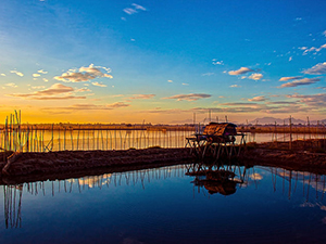 設(shè)立公司所需的資料