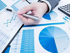 持續(xù)盈利能力