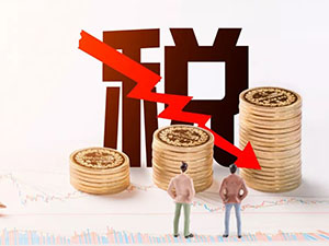 稅務(wù)實(shí)操講解