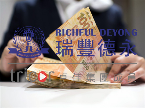 德國VAT稅務抽查