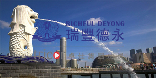 新加坡的優(yōu)勢