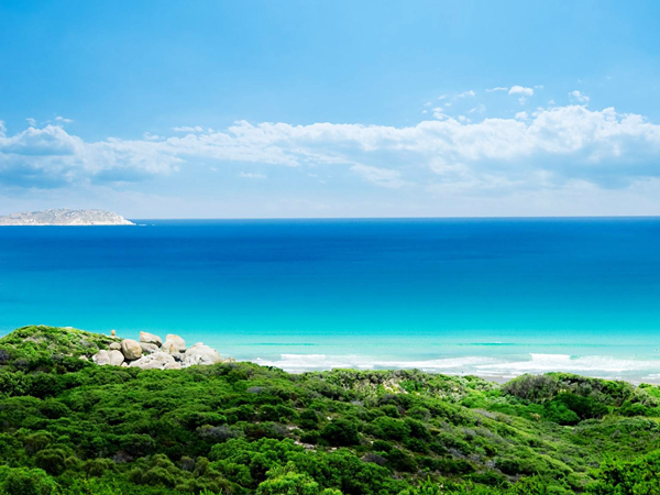 BVI公司的十大優(yōu)勢(shì)