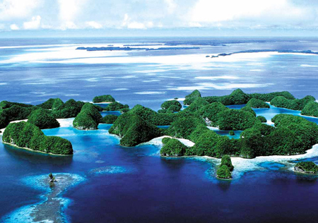 開曼公司注冊要求