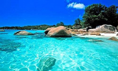 塞舌爾公司注冊