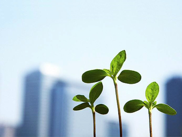 香港經(jīng)濟(jì)復(fù)蘇勢(shì)頭正面