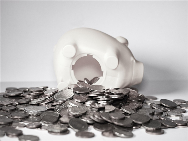 注冊斐濟公司的類型