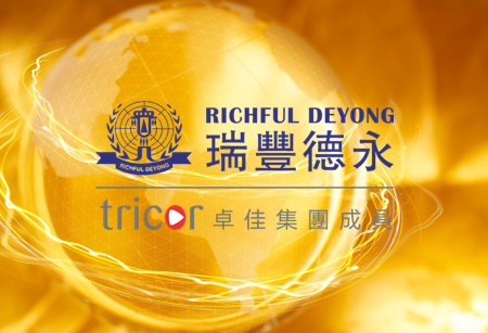 新加坡基金會的特點