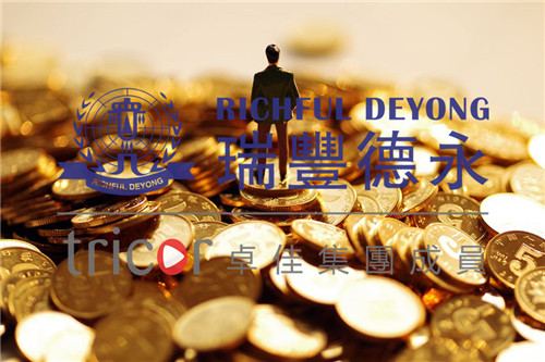 菲律賓公司申報的稅種